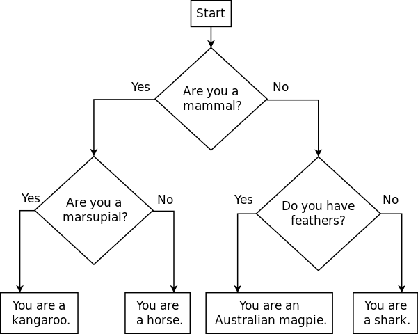 Animal classification flowchart