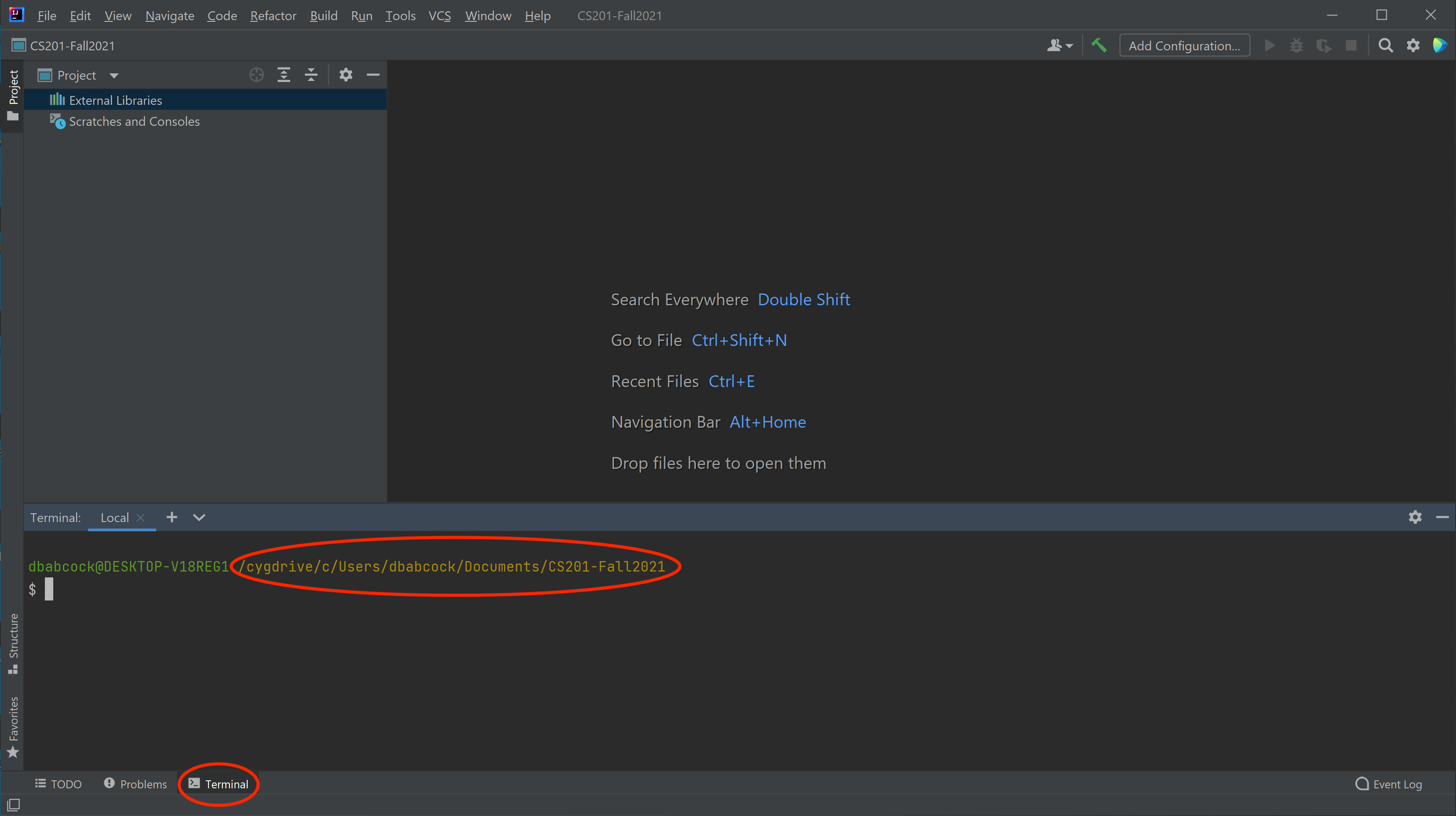 IntelliJ Cygwin Window