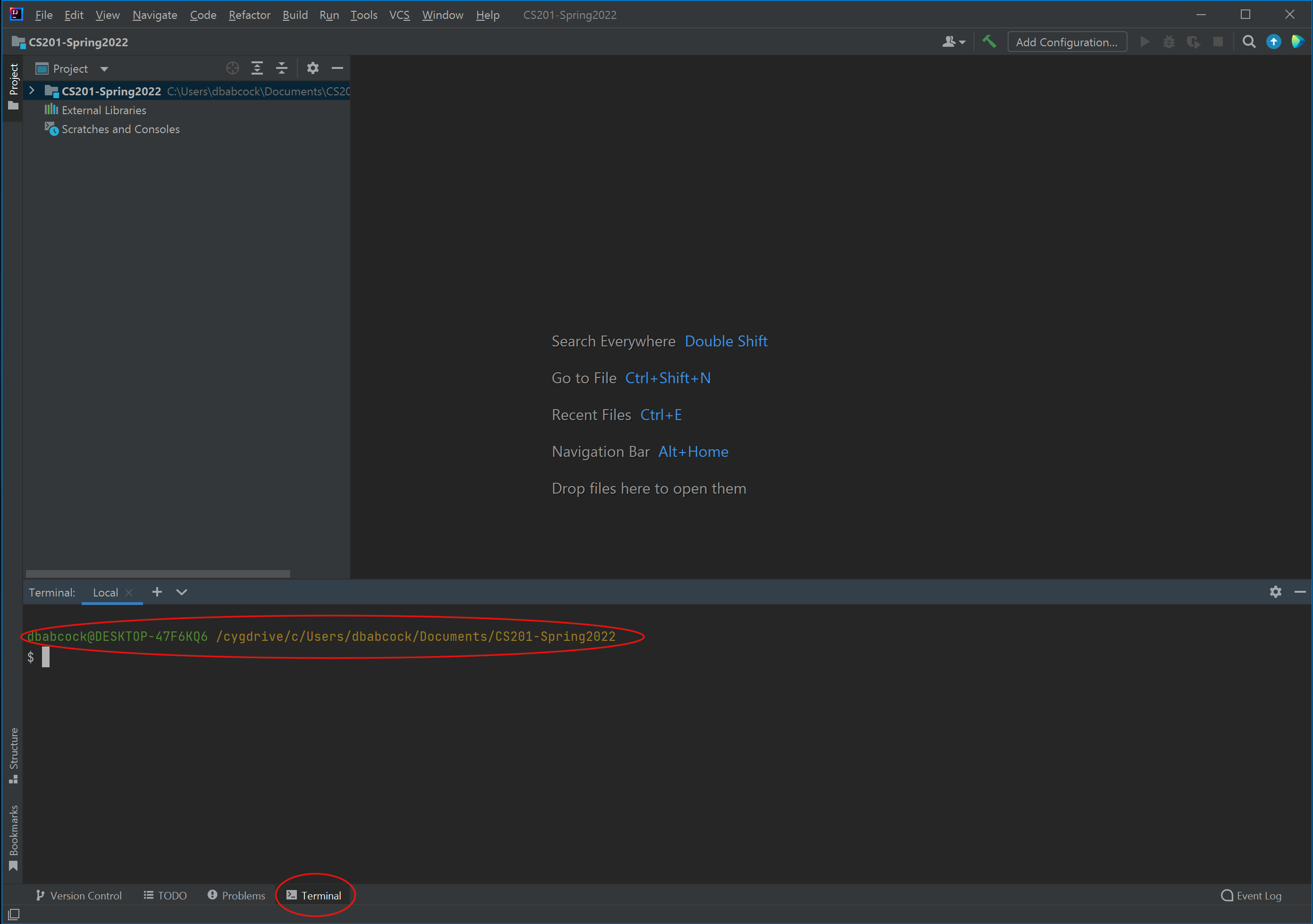 IntelliJ Cygwin Window