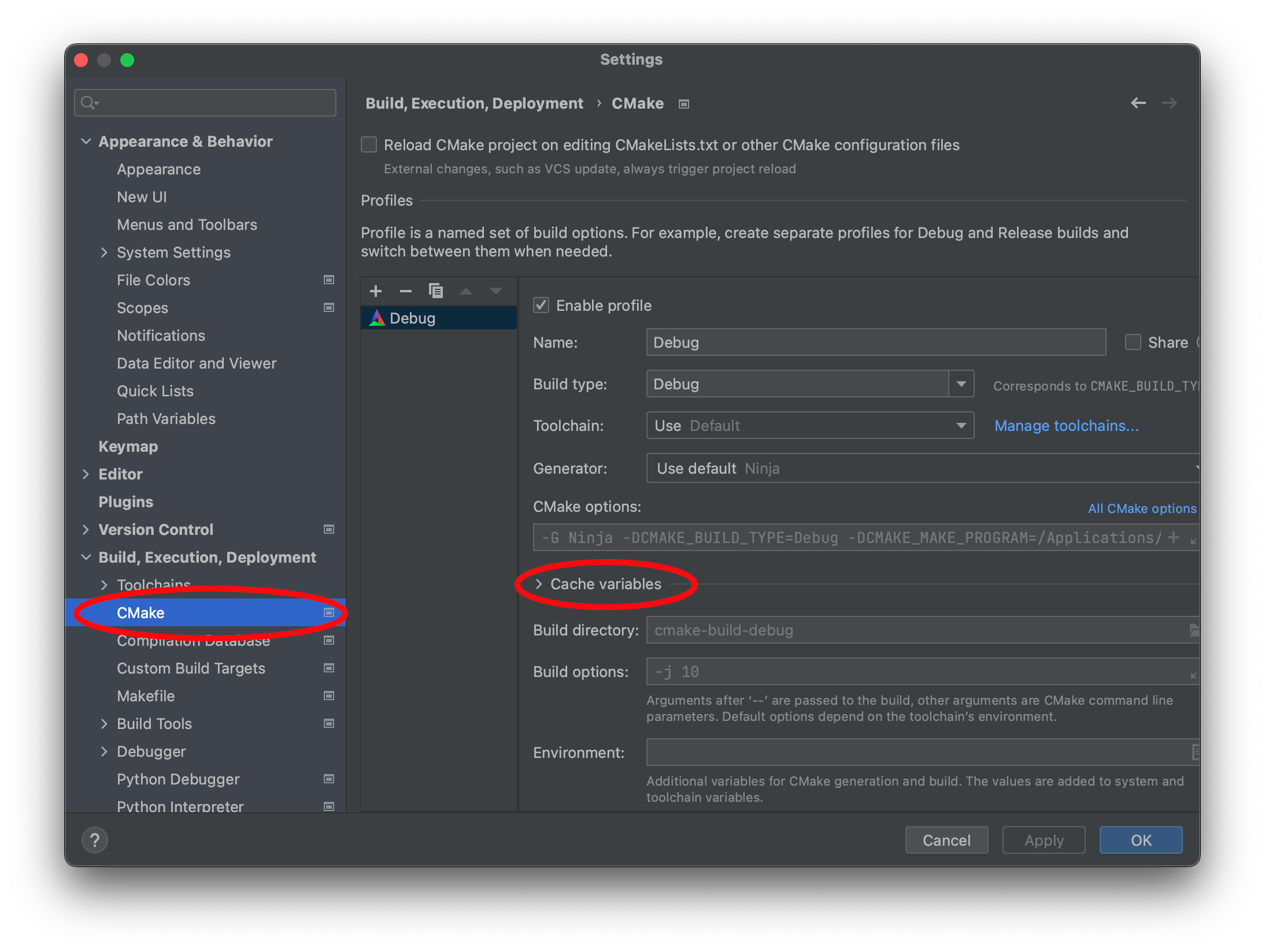 CLion Cache Settings Window